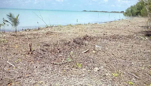Sarteneja Village, Corozal,