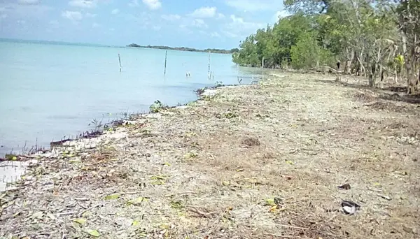 Sarteneja Village, Corozal,
