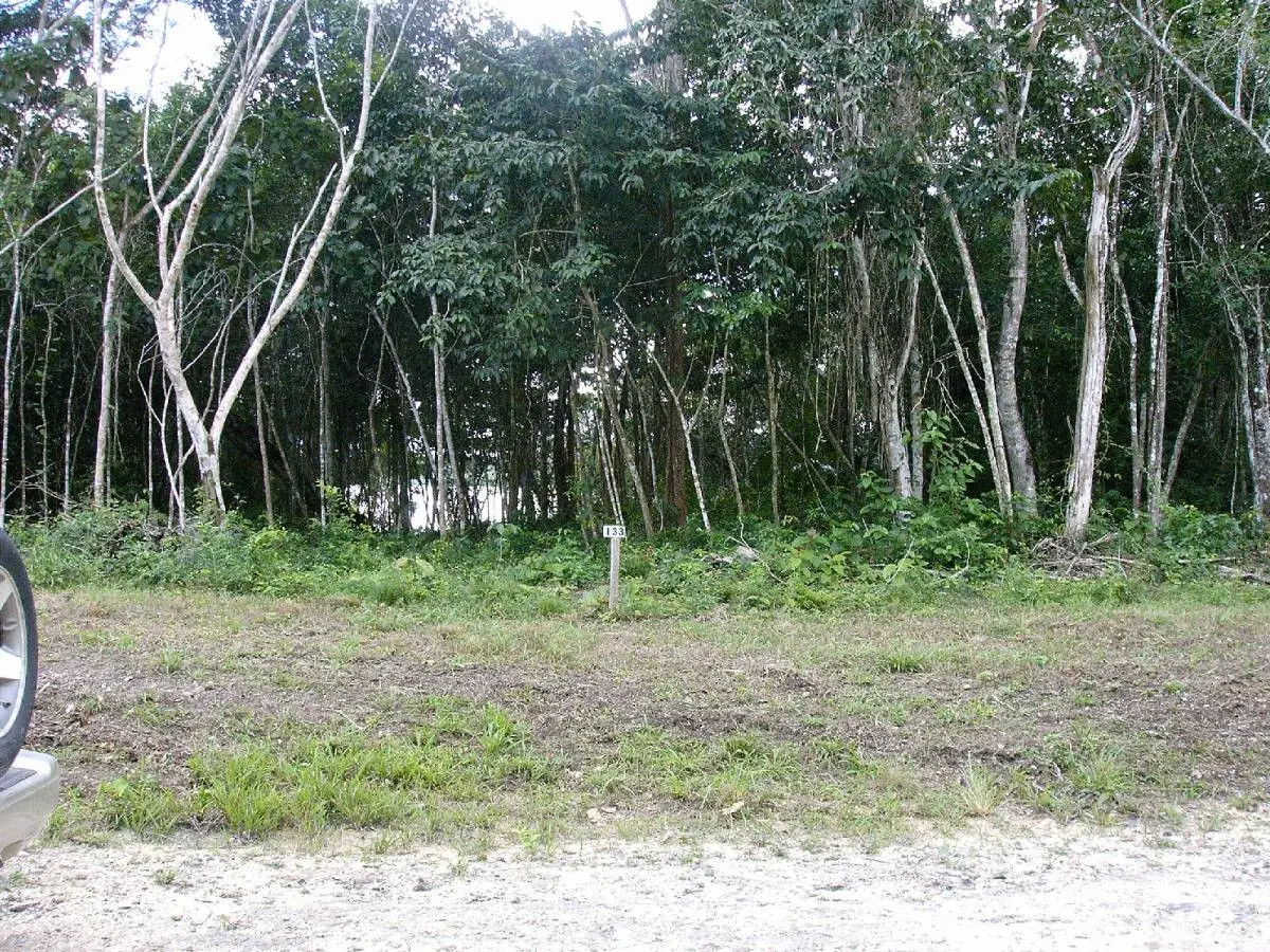 Progresso, Corozal,
