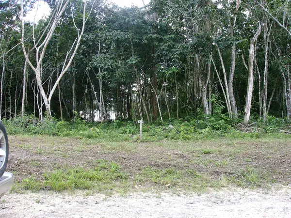 Progresso, Corozal,