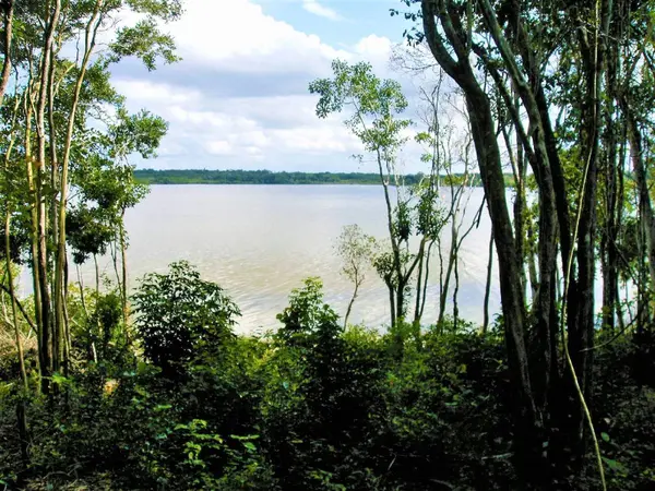Progresso, Corozal,