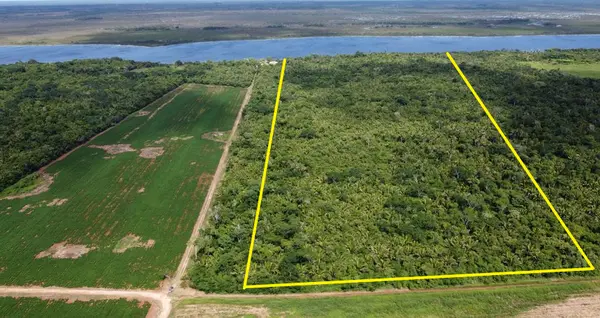 2 miles south of Lamanai Mayan Ruins, Orange Walk District, Walk