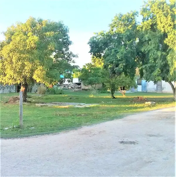 Sarteneja Village, Corozal,