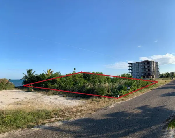 The Plantation, Placencia Peninsula,
