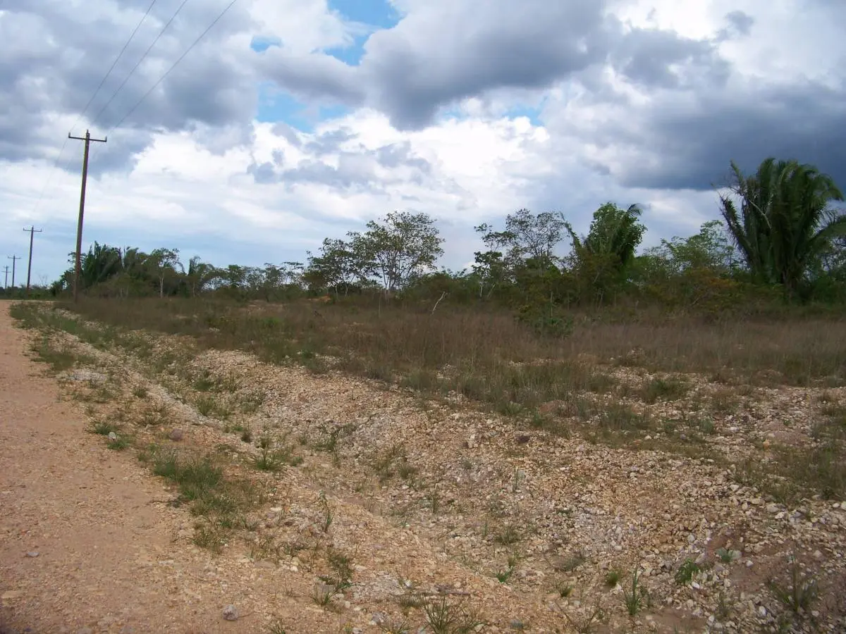 oung Gal Road Cayo District, Cayo,
