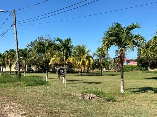 Puccini, Belmopan, Belize