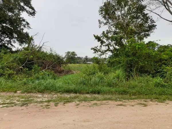 Unitedville, Cayo,