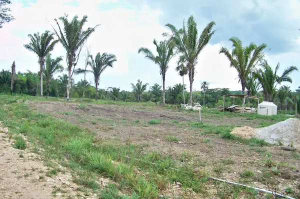 oung Gal Road Cayo District, Cayo,