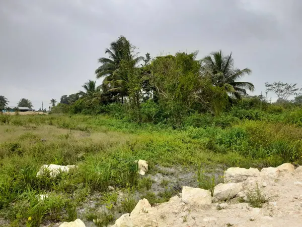 Unitedville, Cayo,