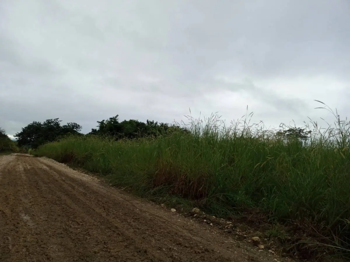 Belmopan, Cayo,