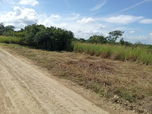 Belmopan, Cayo,