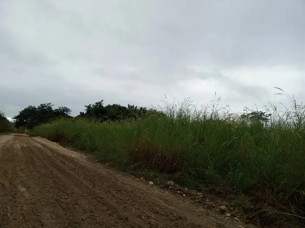Belmopan, Cayo,