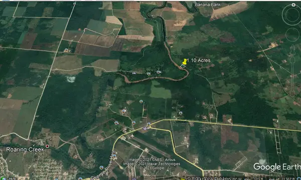 Mount Pleasant Estate Mount Pleasant, Belmopan,