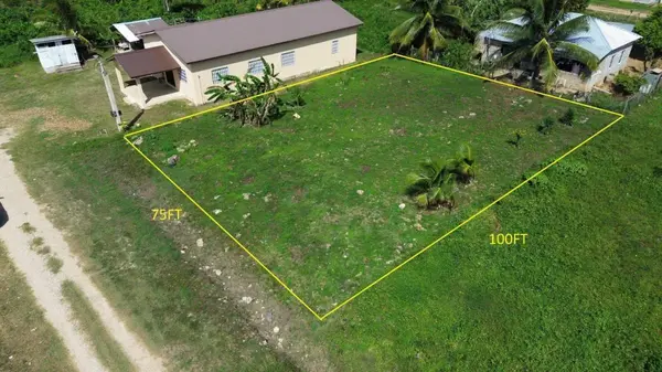 Maya Mopan, Belmopan,