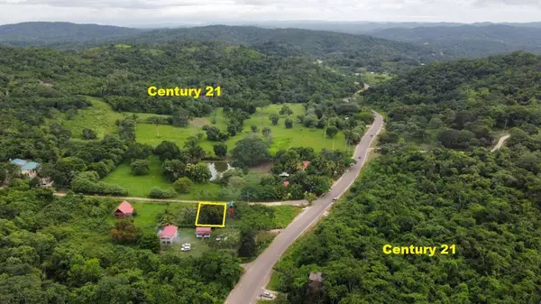 Santa Cruz Rd, San Ignacio,