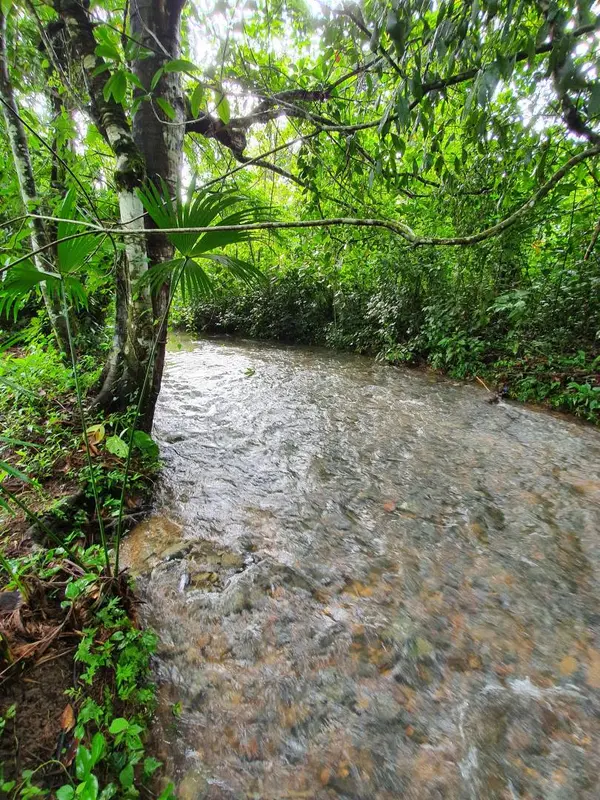 18 Miles San Antonio Road, Punta Gorda, Land
