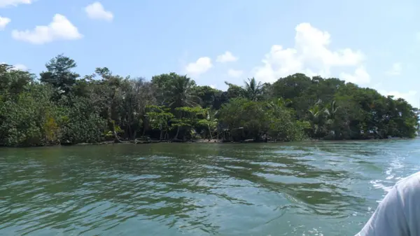 Moho River,