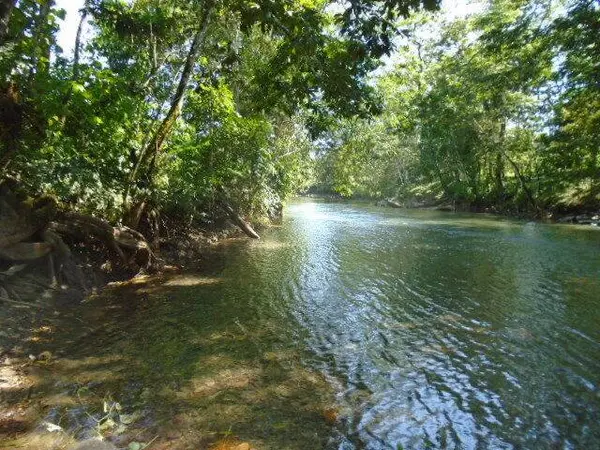 San Pedro Columbia, Toledo Belize.,