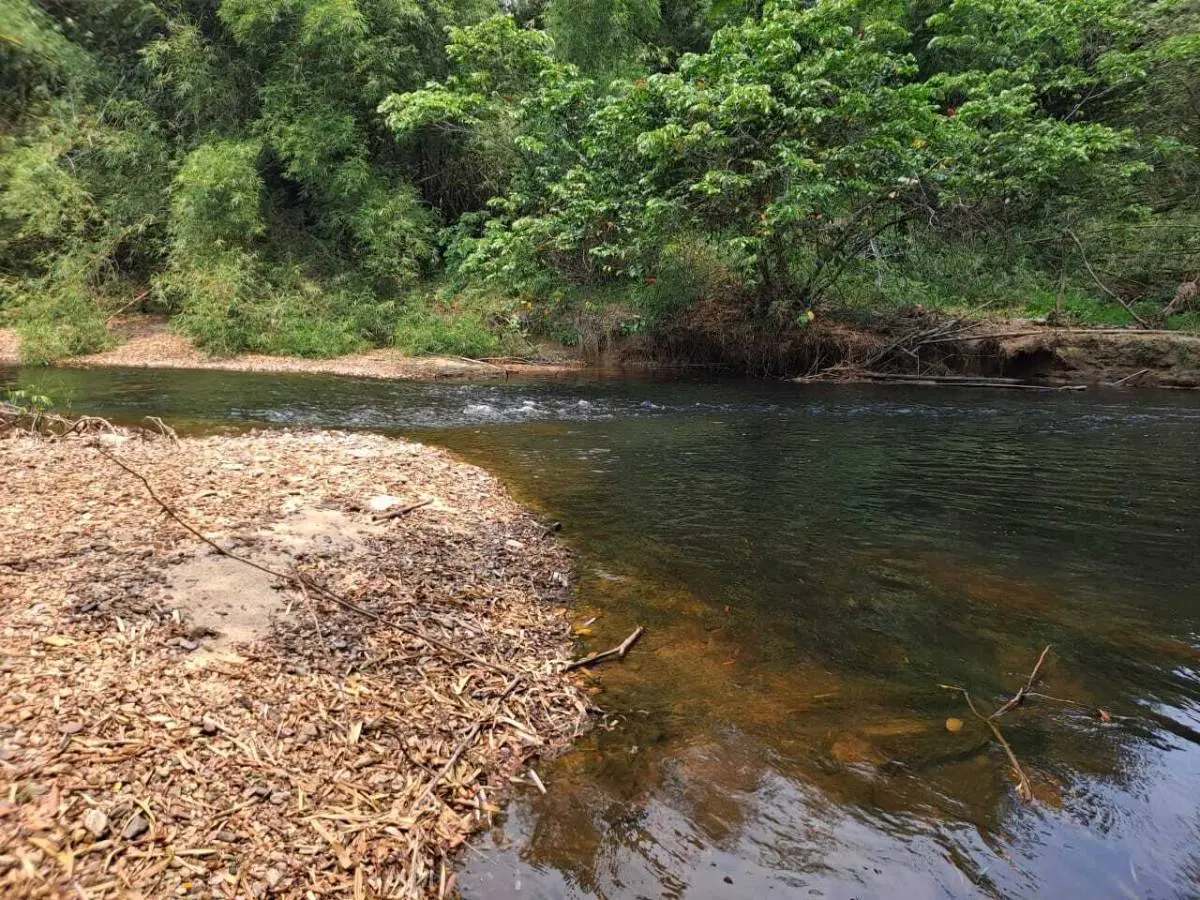 Parcel in Mullins River Dangriga, Stann Creek,