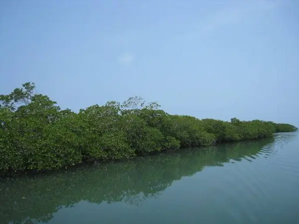 Hopkins, Stann Creek,