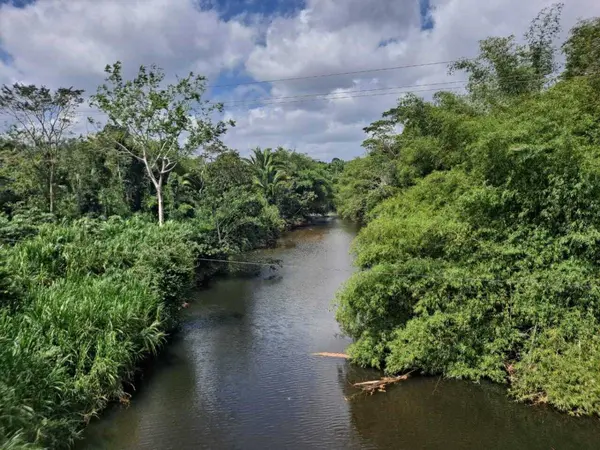 Parcel in Mullins River Dangriga, Stann Creek,