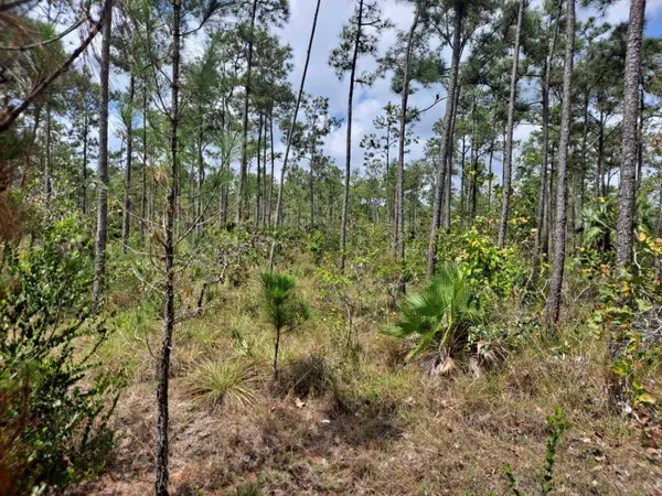 Parcel in Mullins River Dangriga, Stann Creek,