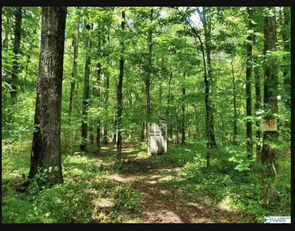 23385 Saint John Rd, Athens, AL 35613