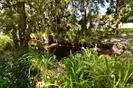 442 PALMETTO STEDGEWATER, Florida 32132-1516,