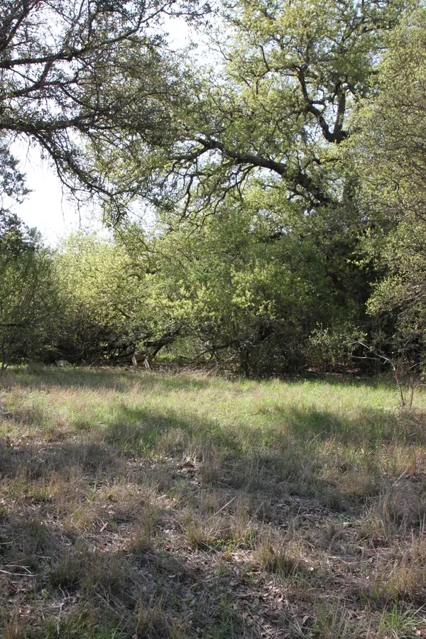 205  sweetgrass Horseshoe bay, Tx,