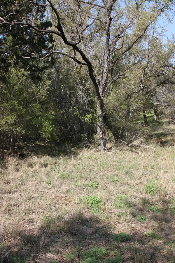205  sweetgrass Horseshoe bay, Tx,