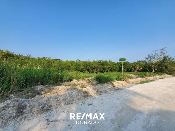Corozal District,,Libertad Village