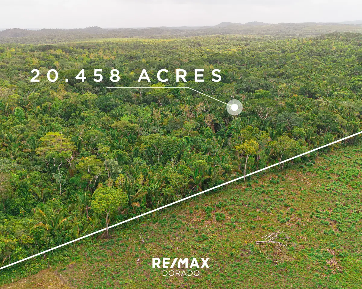 20 Acres on New Holland Road, Cayo District,