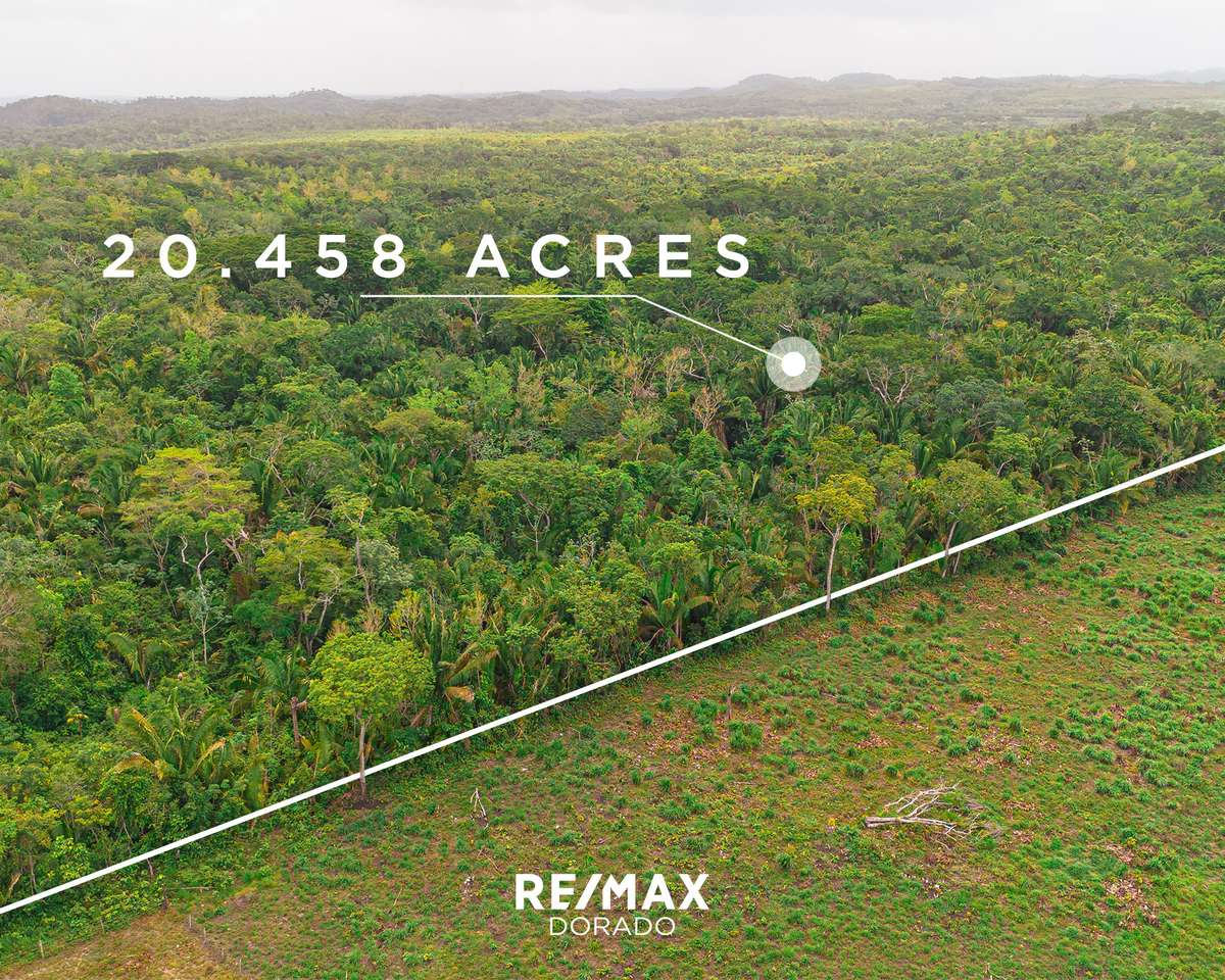 20 Acres on New Holland Road, Cayo District,