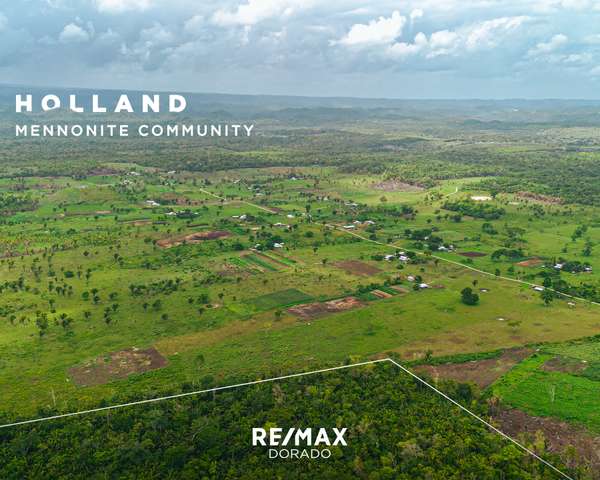 20 Acres on New Holland Road, Cayo District,