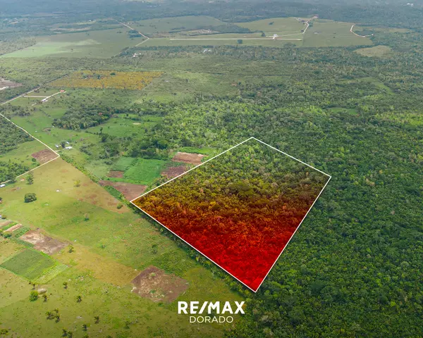 Cayo District,,20 Acres on New Holland Road