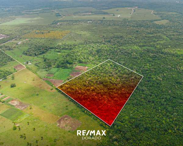 20 Acres on New Holland Road, Cayo District,