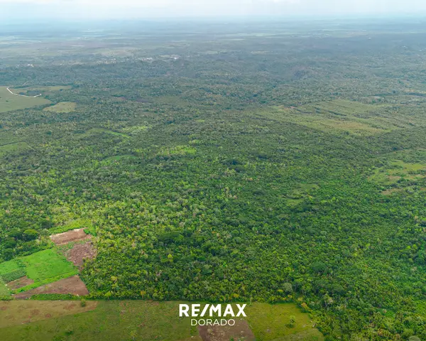 20 Acres on New Holland Road, Cayo District,