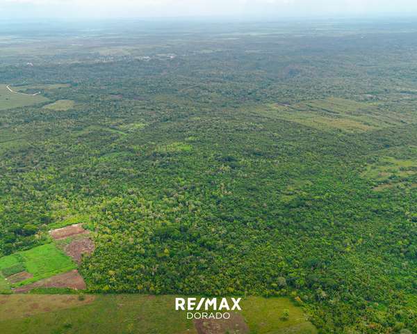 20 Acres on New Holland Road, Cayo District,