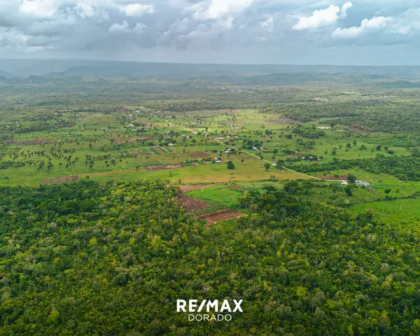 20 Acres on New Holland Road, Cayo District,