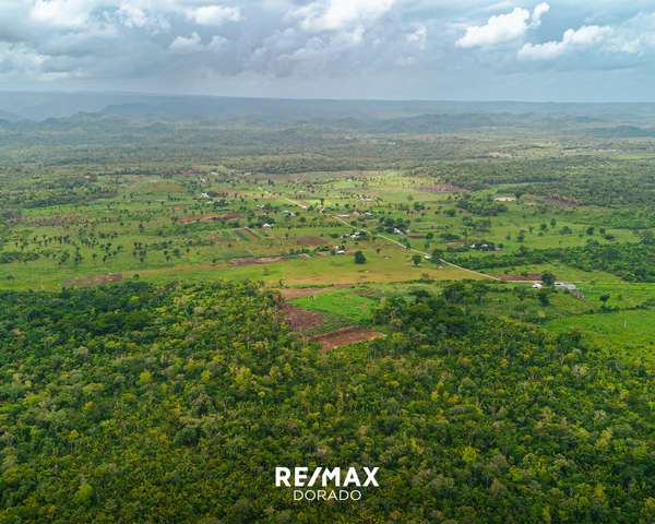 20 Acres on New Holland Road, Cayo District,