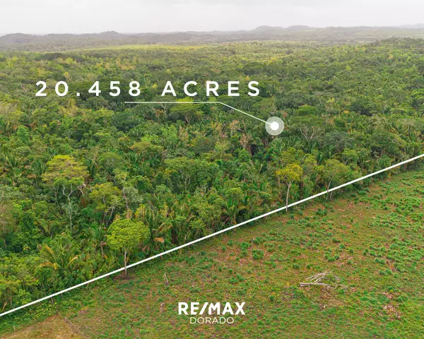 Cayo District,,20 Acres on New Holland Road