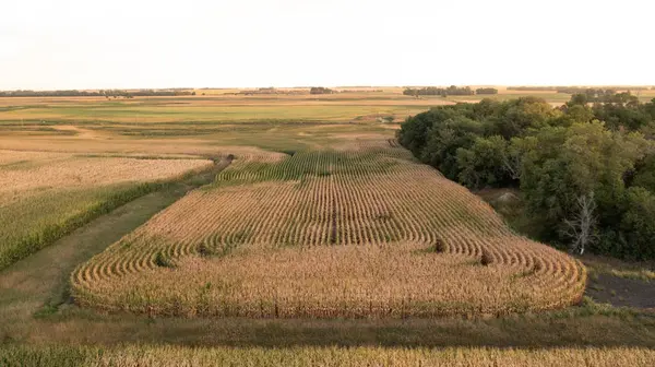 00000 214th St., Elkton, SD 57026