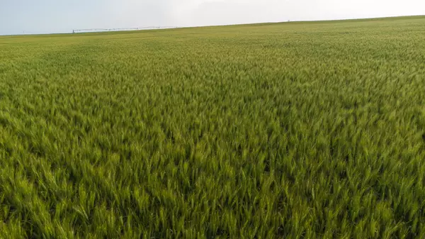 Imperial, NE 69033,0000 Loco Farms Chase County