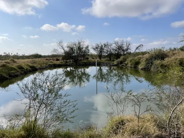 11732 Mile 18 N, La Blanca, TX 78558