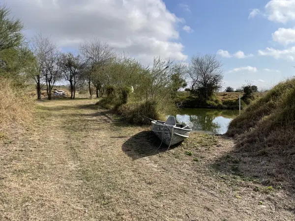 11732 Mile 18 N, La Blanca, TX 78558