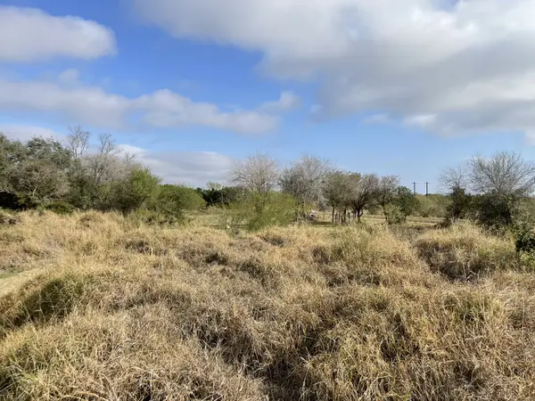 11732 Mile 18 N, La Blanca, TX 78558