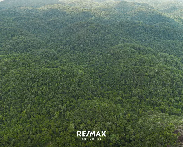 Blue Hole Area, District,Vaca Plateau