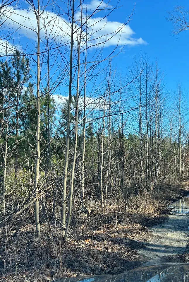 Carpenters Rest Rd, Caret, VA 22436-2223