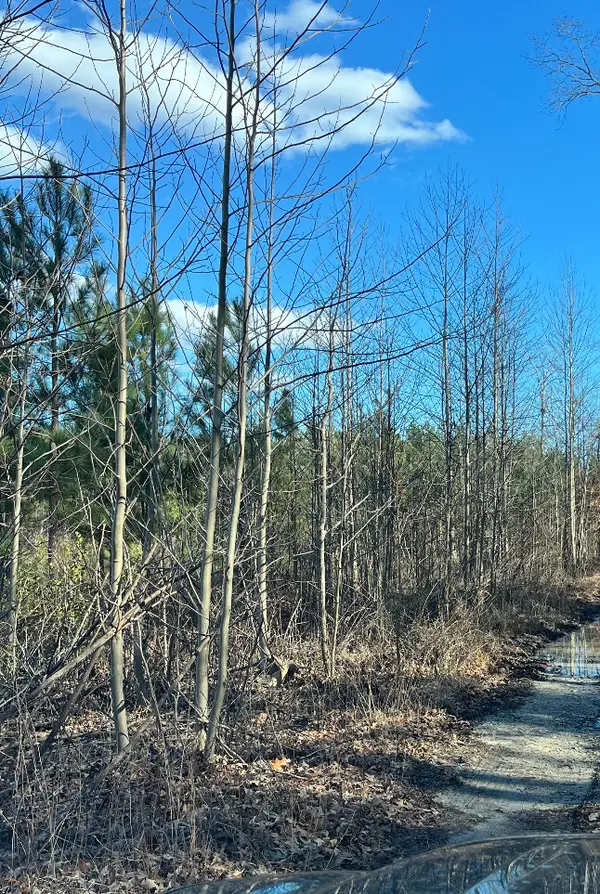 Carpenters Rest Rd, Caret, VA 22436-2223