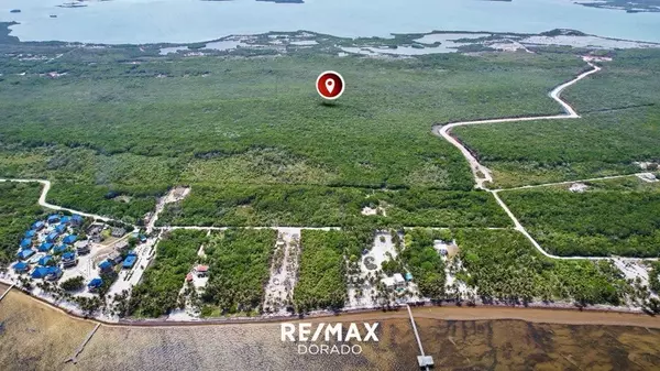 Ambergris Caye,,Affordable 0.5 Acre Lot